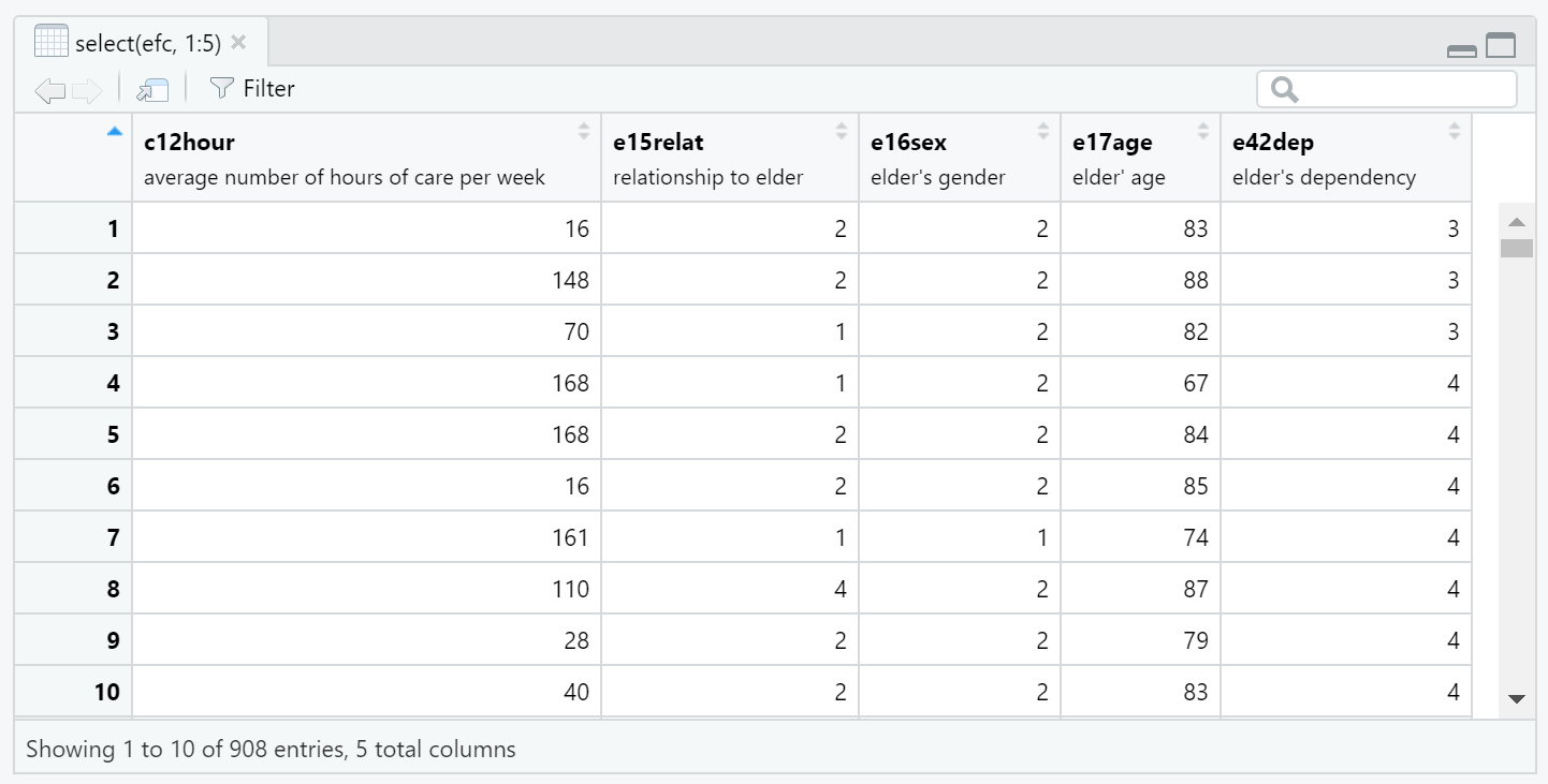 Screenshot of view of efc data from the {sjlabelled} package in RStudio. Variable labels are printed underneath variable names.