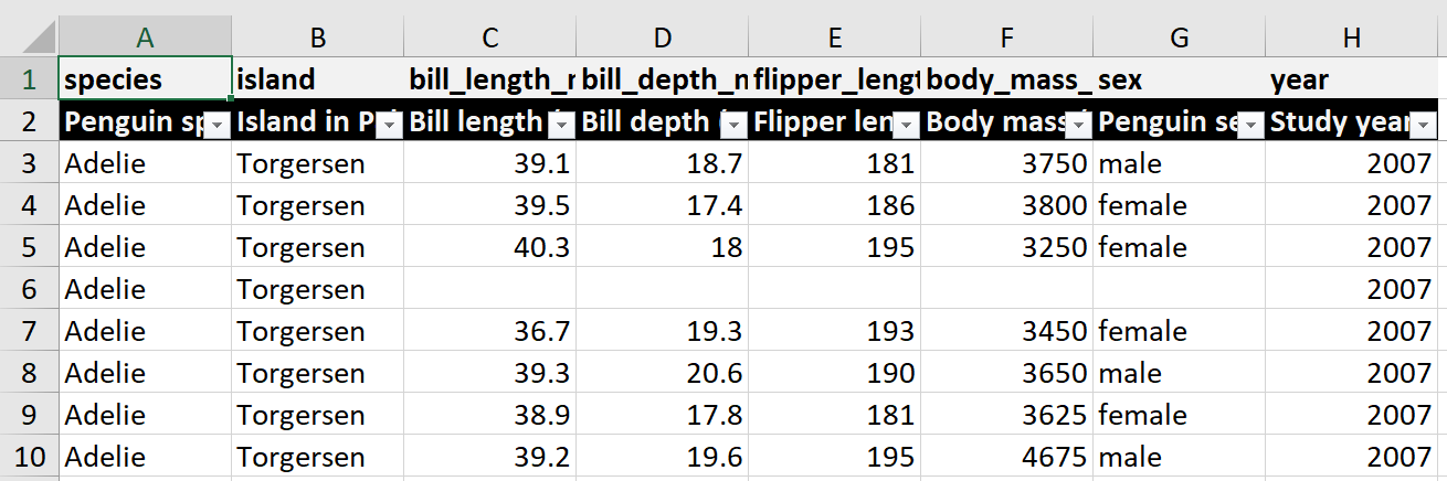 First row has light gray backround with variable names in black; second row has black backgrounding with variable labels in gray, and excel drop down filters on each column.