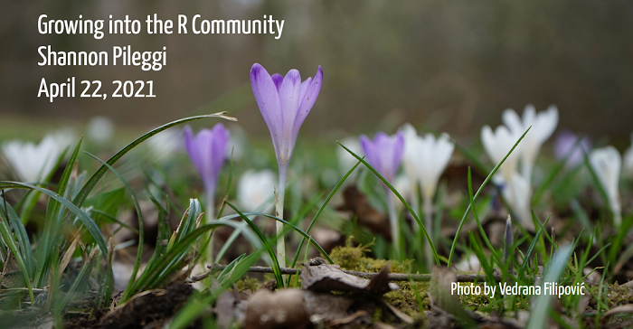 Title slide with image of purple and white crocus flowers growing.